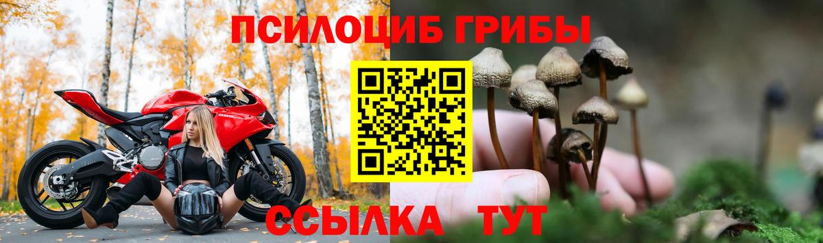 Галлюциногенные грибы MAGIC MUSHROOMS Великий Новгород